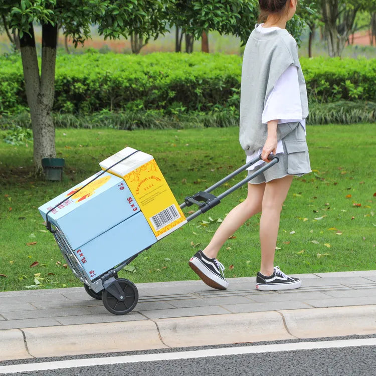 Leeyoung 264lb folding hand truck in use