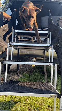Extra Wide Folding Pet Stairs with Guardrail