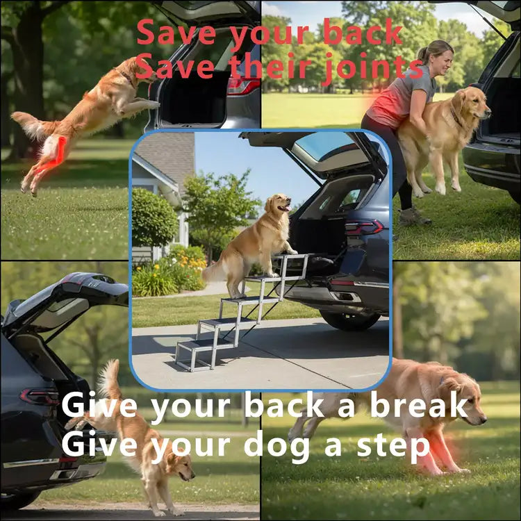 folding-dog-stairs-5step-230lb-solve-problems-image1